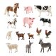 Detailed Parent and Babies Farm Animal Collection | Creative Activity