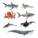 Detailed Small World Sea life Collection | Creative Activity