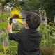 Large Sheet Magnifier | Multi-Sensory Environments | Creative Activity