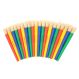 Chubby Paint Brushes 20pk | Educational Resources - Art & Craft | Creative Activity