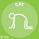 Sensory Circuit Yoga Mats Set 12 | Sensory Circuits | Creative Activity