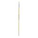 Long Handle Round Hog Bristle Brushes Size 6 - pack of 10 | Creative Activity