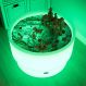 Sensory Mood Discovery Table + Forest Discovery Playmat | Multi-Sensory Environments | Creative Activity