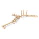 Freestanding Trim Trail 2 - 7 Items | Outdoor Play | Creative Activity