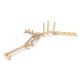 Freestanding Trim Trail 2 - 7 Items | Outdoor Play | Creative Activity