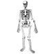 Learning Resources Foam Skeleton Floor Puzzle | Educational Resources | Creative Activity