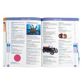 Oxford Junior Illustrated Dictionary Single