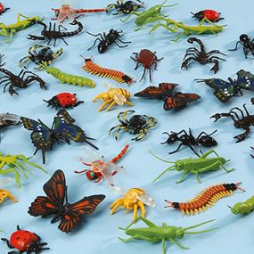 Minibeasts Pack 48pk