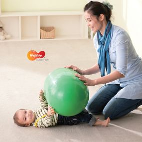 Weplay Gym Roll
