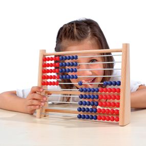 Individual Counting Frame to 100