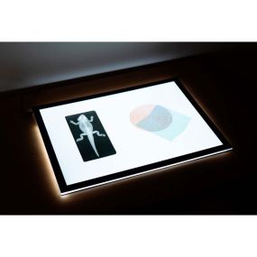 A2 Light Panel