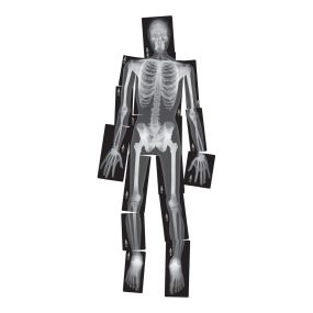 Life-Size Human X-Rays