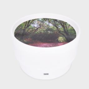 Mood Discover Table with Forest Discovery Playmat