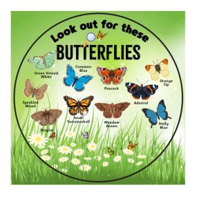 EduWall - Look out for these Butterflies