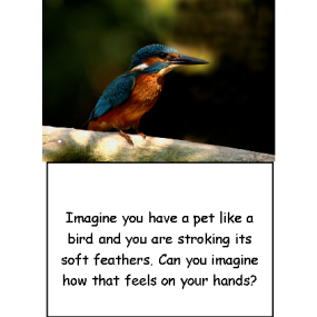 Mindfulness in a Tin Ages 5-11