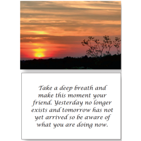 Mindfulness in a Tin Ages 11-16