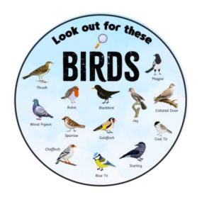 EduWall - Look out for these birds Circle