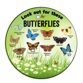 EduWall - Look out for these Butterflies