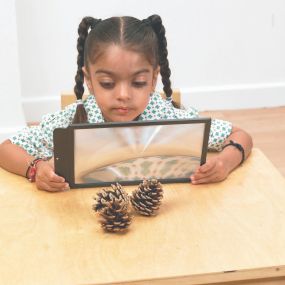 Large Sheet Magnifier