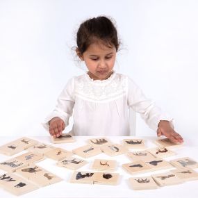 Wild Animal Family Match 