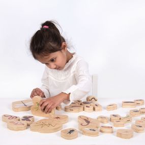 Wooden Minibeast Blocks