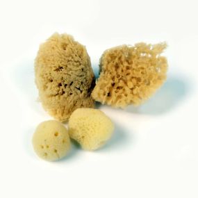 Natural Sponges assorted bag 4-6 units mixed | Creative Activity