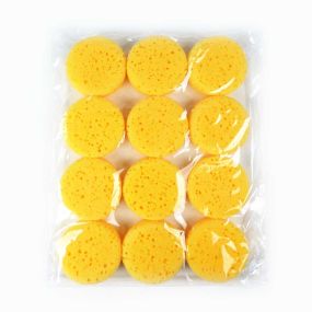 Synthetic Sponges | Creative Activity