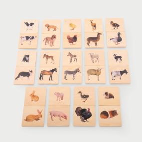 Domestic Animal Family Match | Multi Sensory Environments | Creative Activity