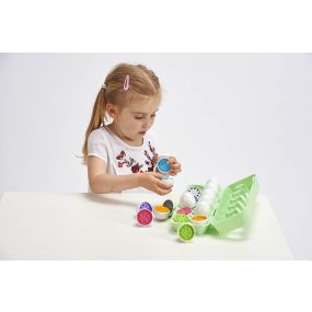 Colour Match Eggs  | Creative Activity