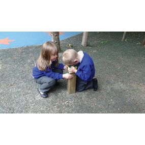 Magnifying Post | Creative Activity