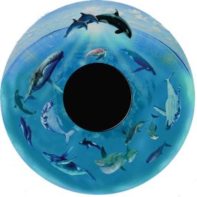 Effect Wheels Dolphins & Wales | Creative Activity