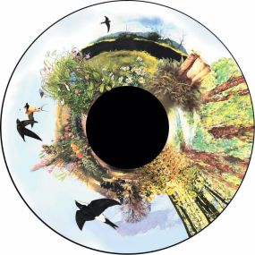 Effect Wheels In the Country| Multi-Sensory Environments | Creative Activity
