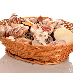 Mixed Shells Pack 900g