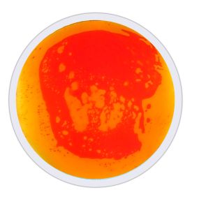 Round Liquid Floor Tile 50x50cm - ORANGE