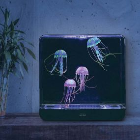 Extra Large Jelly Fish Tank