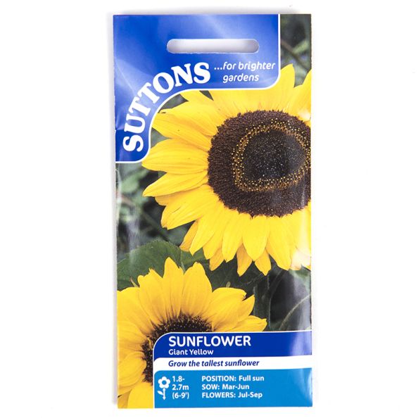 Giant Sunflower Seeds
