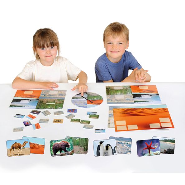 Animal Habitats Sorting Game | Creative Activity