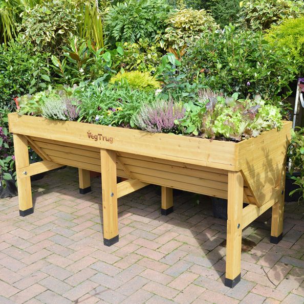 Veg Trug Planter Natural Wood Small | Creative Activity