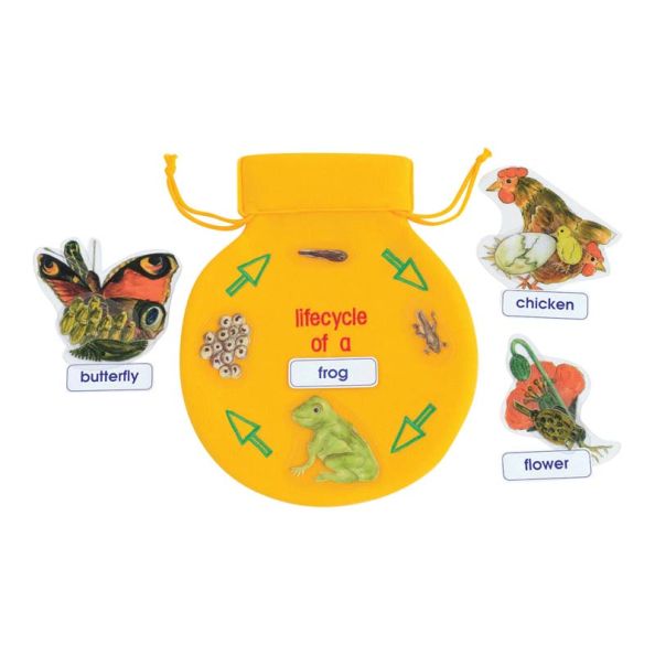 Life Cycle Sequencing Bag | Creative Activity