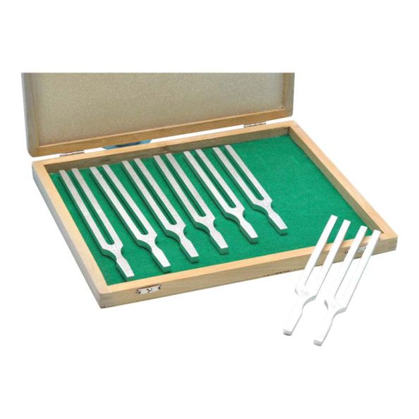 Tuning Fork Set | Creative Activity