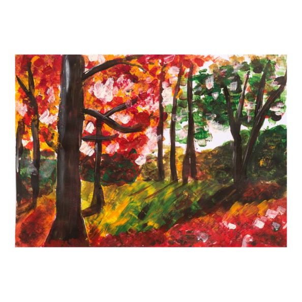 Copier Paper 80gsm A3 | Creative Activity