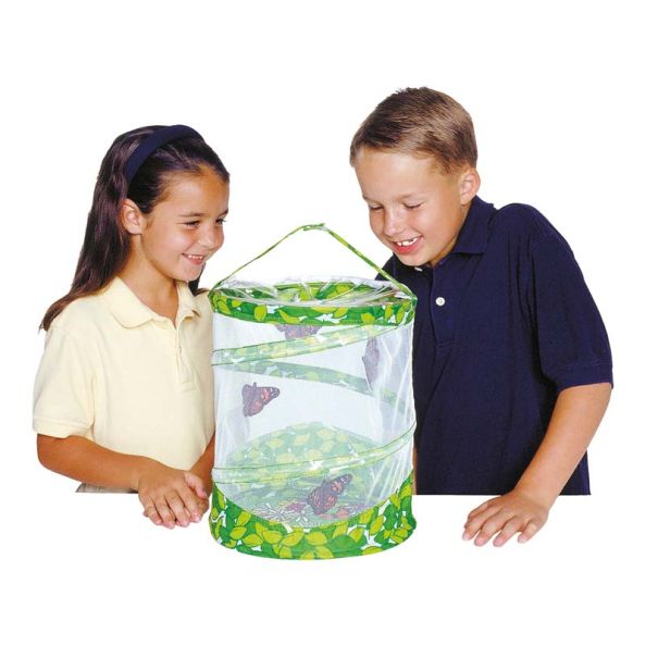 Butterfly Life Cycle Kit | Creative Activity