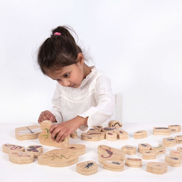 Wooden Minibeast Blocks