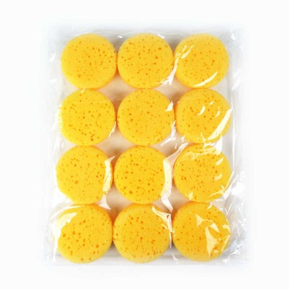 Synthetic Sponges | Creative Activity