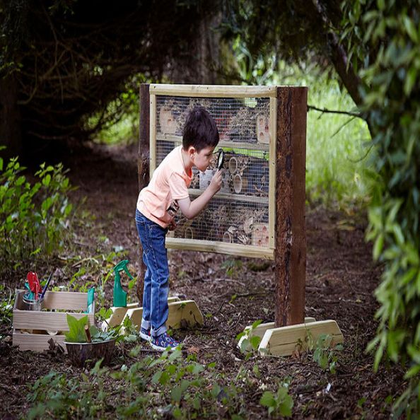 Minibeast Farm | Creative Activity