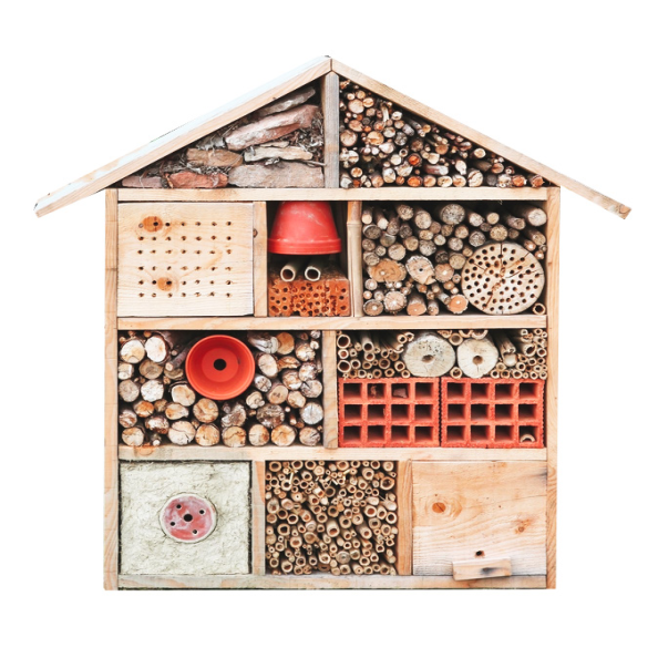 Grand Insect Hotel