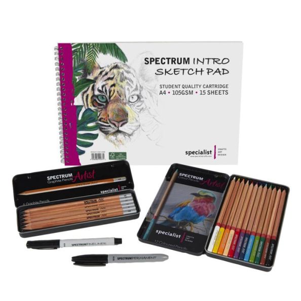 Colour Sketching Intro Pack | Creative Activity