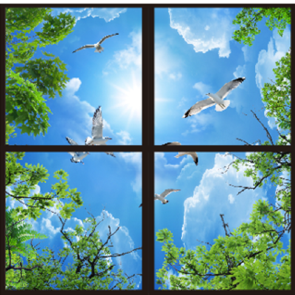 LED Ceiling Panels Trees and Birds - Non-interactive | Creative Activity