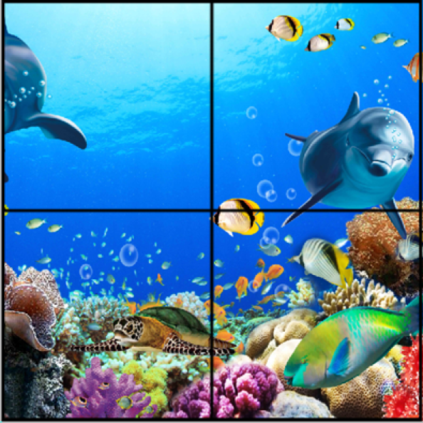 LED Ceiling Panels Fish - Non-interactive | Creative Activity
