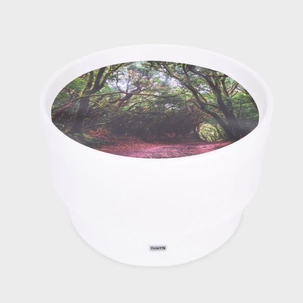 Sensory Mood Discovery Table + Forest Discovery Playmat | Multi-Sensory Environments | Creative Activity